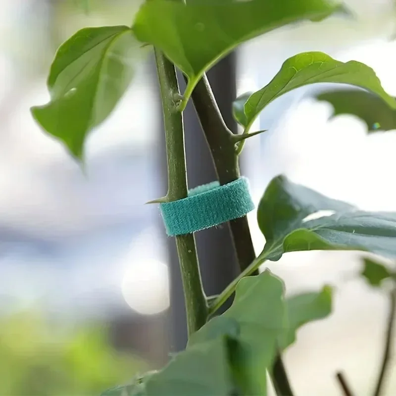 نبات ذاتي اللصق ربطة كابل من ا - مراجعة Gear Tie Reusable وسعره