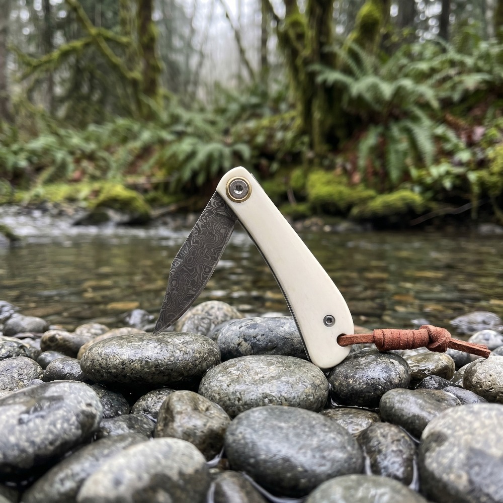 سكين قابل للطي للاستخدام الخار - مراجعة Edc Carry Pocket Knife وسعره