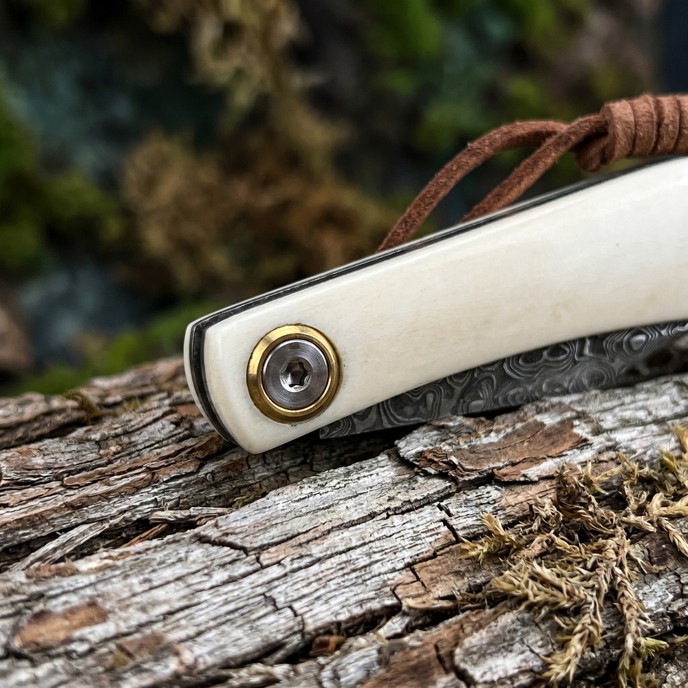سكين قابل للطي للاستخدام الخار - مراجعة Edc Carry Pocket Knife وسعره