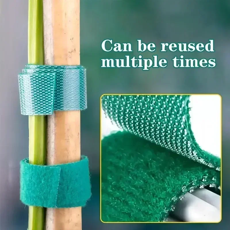 1/100 متر قابل للتعديل نبات ذا - مراجعة Gear Tie Reusable وسعره